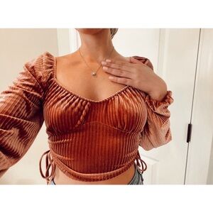 NWOT Sophie Rue Velvet Crop Top